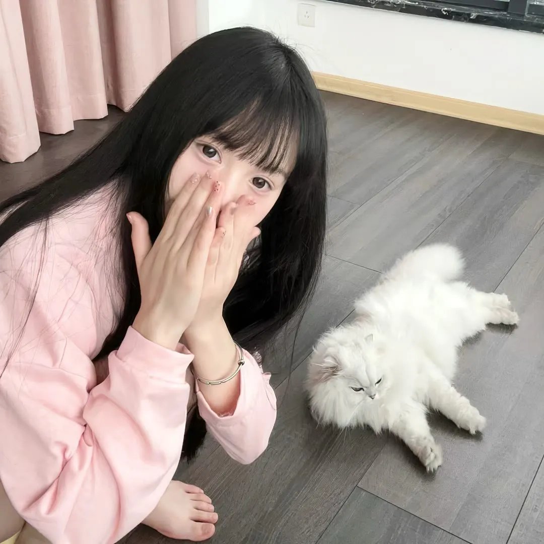 少女的世界 在线播放海报